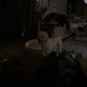 Meet your Posher, Dirk